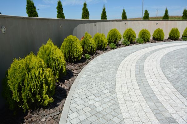 Paver Installation in Marana