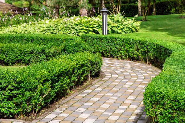 Cost of Paved Landscaping in Marana