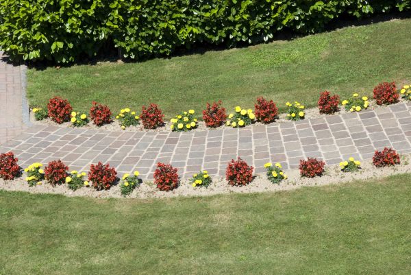 Garden Paving in Marana