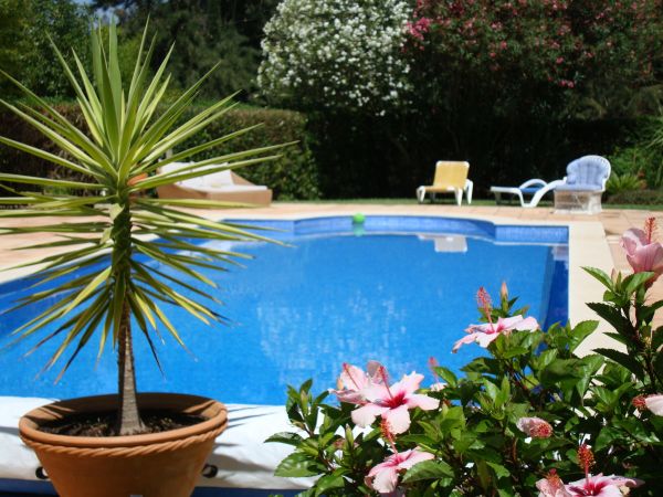 Pool Terrace Renovation in Marana