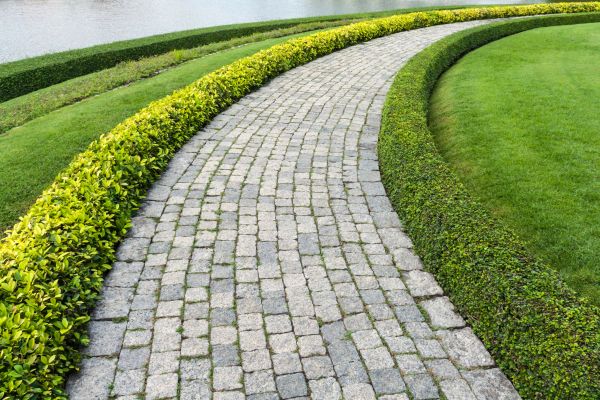 Sidewalk Pavers Installation in Marana